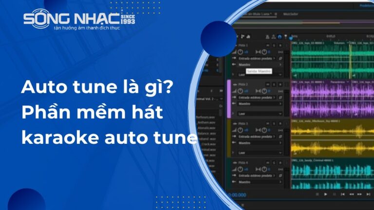 Auto Tune Là Gì