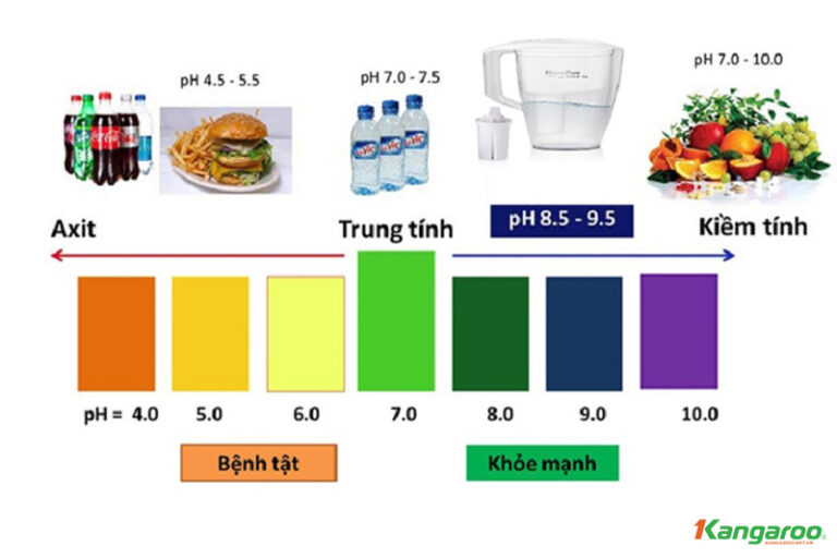 Hso4 Hóa Trị Mấy