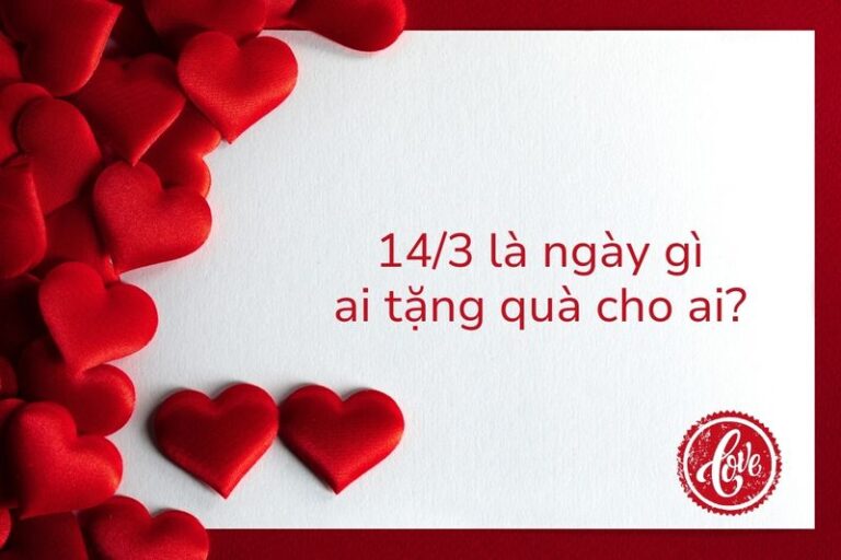 Ngày 14/3 Là Ngày Gì