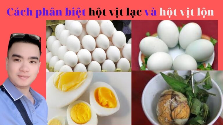 Trứng Vịt Lạc Là Gì