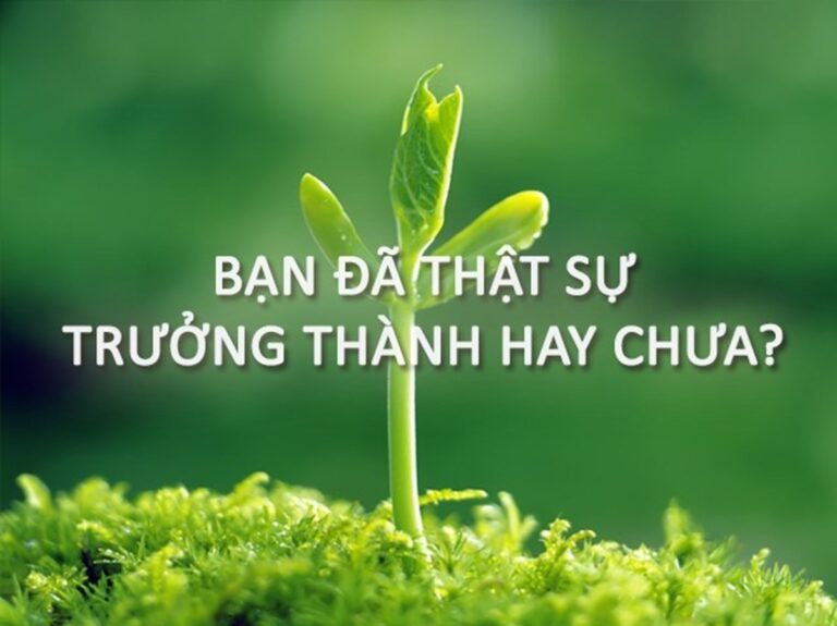 Trưởng Thành Là Gì