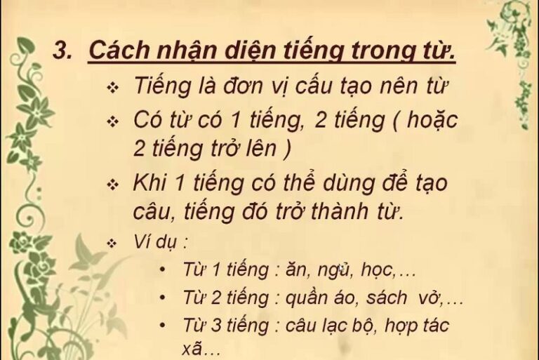 Từ Là Gì